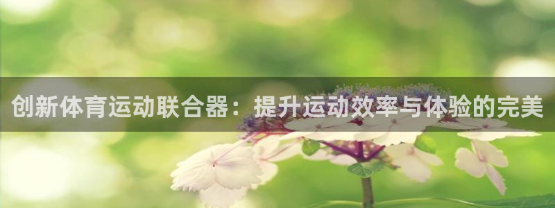ug环球官网登录入口：创新体育运动联合器：提升运动效率与体验的完美
