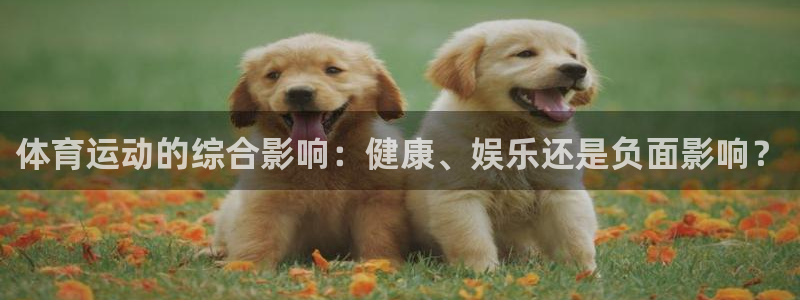 ug环球官网注册：体育运动的综合影响：健康、娱乐还是负面影响？