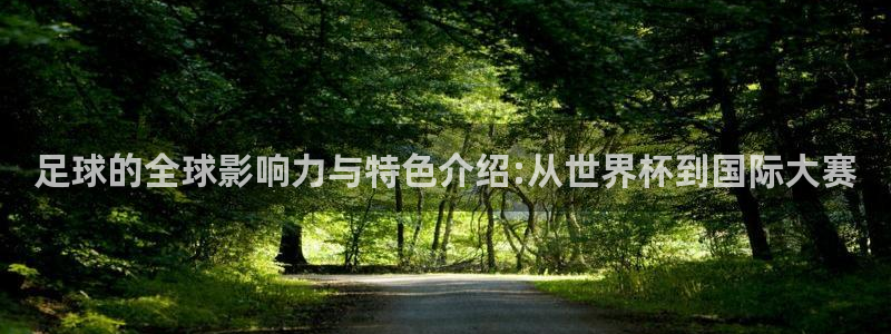 菲律宾ug环球官网：足球的全球影响力与特色介绍:从世界杯到国际大赛