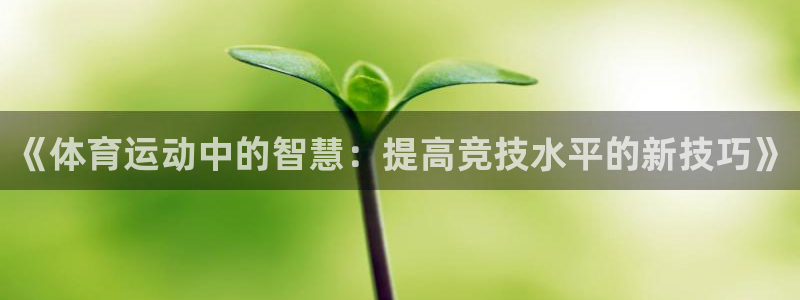 ug环球官网：《体育运动中的智慧：提高竞技水平的新技巧》