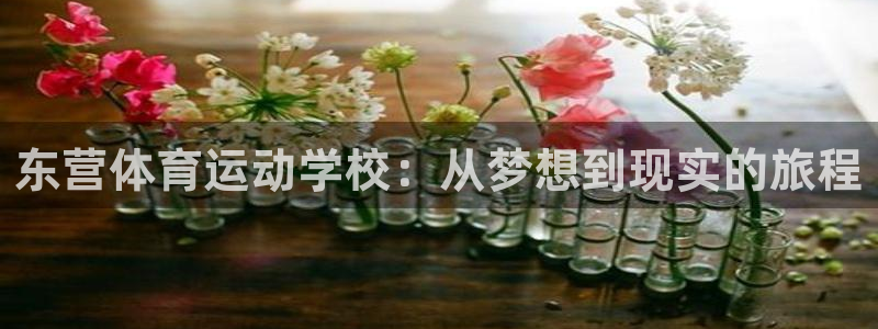 ug环球官网注册：东营体育运动学校：从梦想到现实的旅程