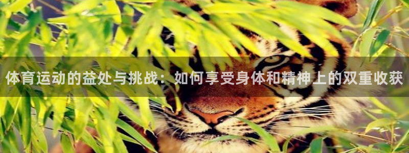 ug环球官网注册：体育运动的益处与挑战：如何享受身体和精神上的双重收获