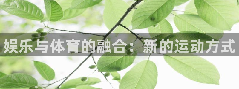 ug环球官网注册：娱乐与体育的融合：新的运动方式
